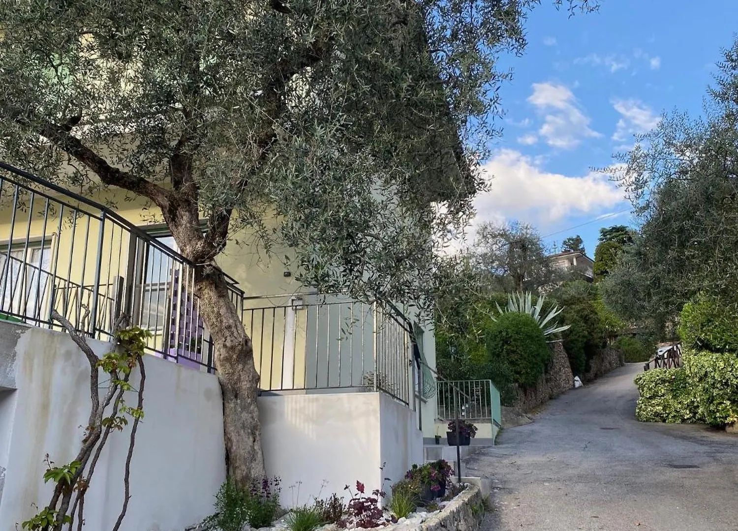Oleander House Apartments Torri Del Benaco